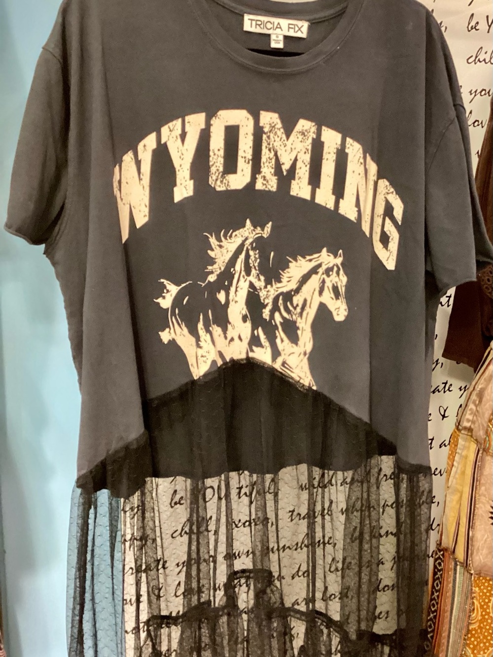 Tricia Fix/Free People Black Wyoming Graphic Tee with Sheer Mesh Hem